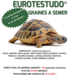 graines de tortue